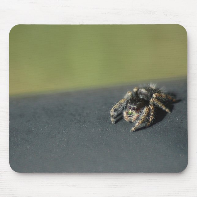 Tapis De Souris Araignée (Devant)