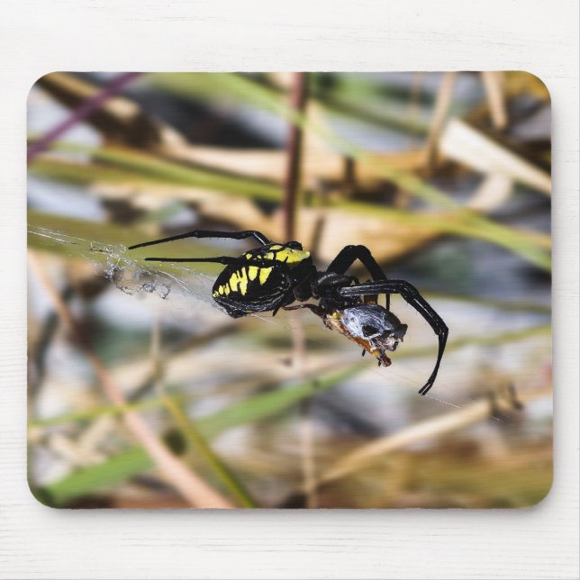 Tapis De Souris Araignée de jardin noire et jaune d'Argiope (Devant)