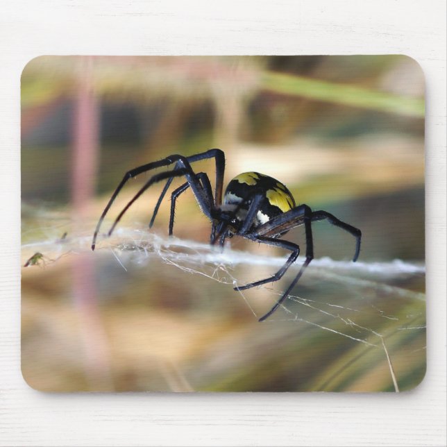 Tapis De Souris Araignée de jardin noire et jaune d'Argiope (Devant)