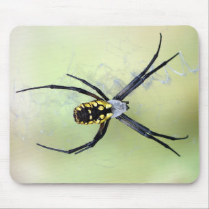Tapis De Souris Araignée de jardin noire et jaune d'Argiope
