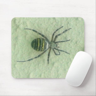 Tapis De Souris Araignee spider