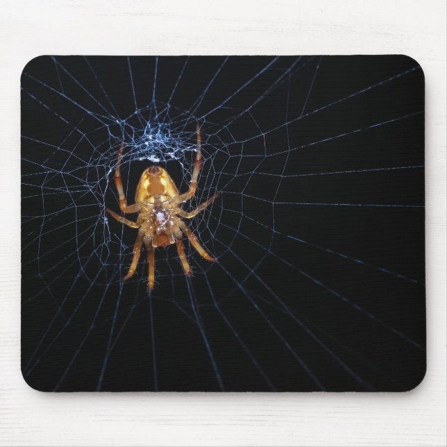 Tapis De Souris Araignée sur toile d'araignée (Devant)