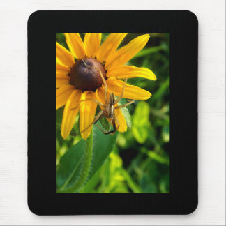 Tapis De Souris Araignée sur Tournesol Mousepad