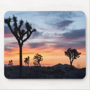 Tapis De Souris Arbre