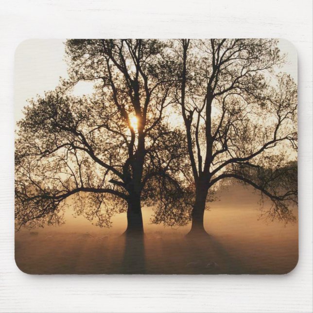Tapis De Souris Arbre (Devant)