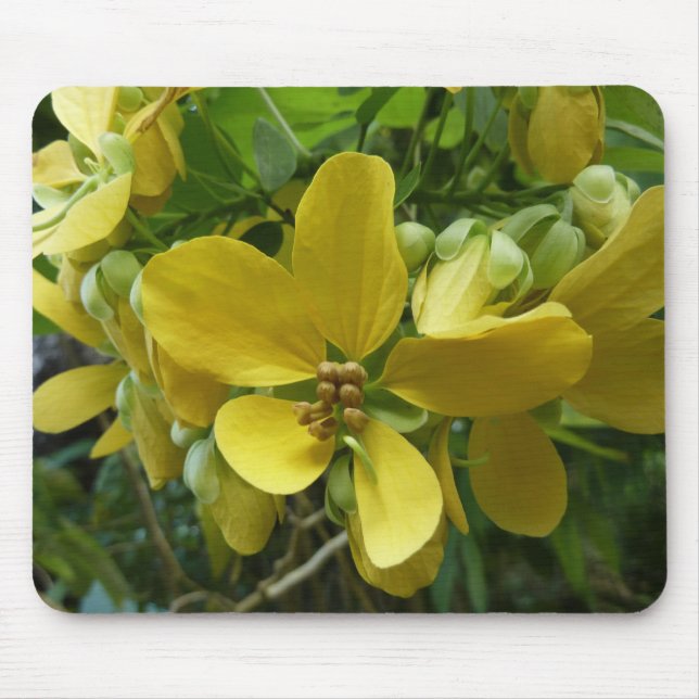 Tapis De Souris Arbre à douche dorée Tropical Jaune Floral (Devant)