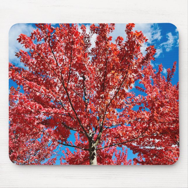 Tapis De Souris Arbre à feuilles rouges à l'automne (Devant)