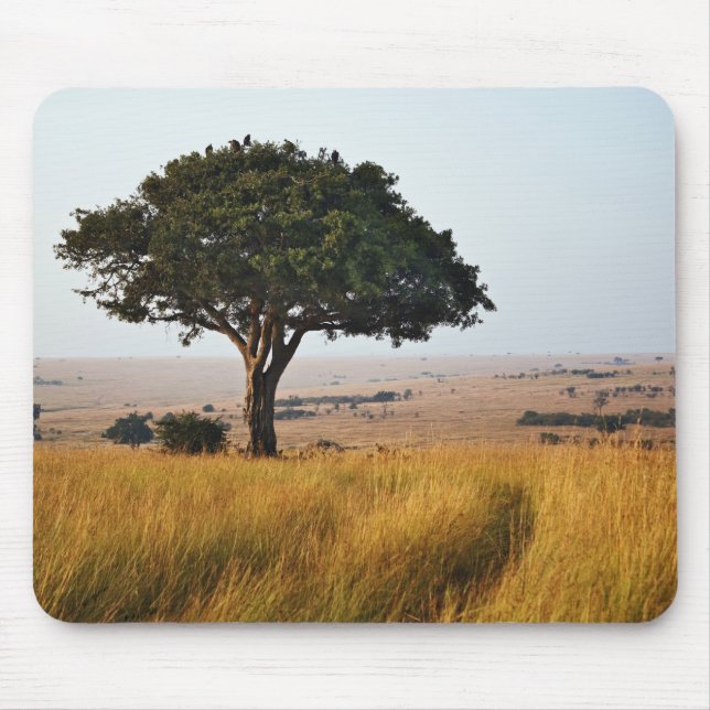 Tapis De Souris Arbre d'acacia isolé dans les plaines herbeuses, M (Devant)