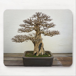 Tapis De Souris Arbre de bonsaïs de grenade