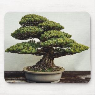 Tapis De Souris Arbre de bonsaïs de White Pine de Japonais