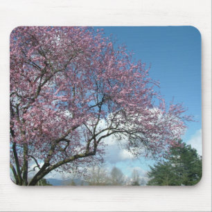 Tapis De Souris Arbre de cerisier rose et ciel bleu, nuages blancs