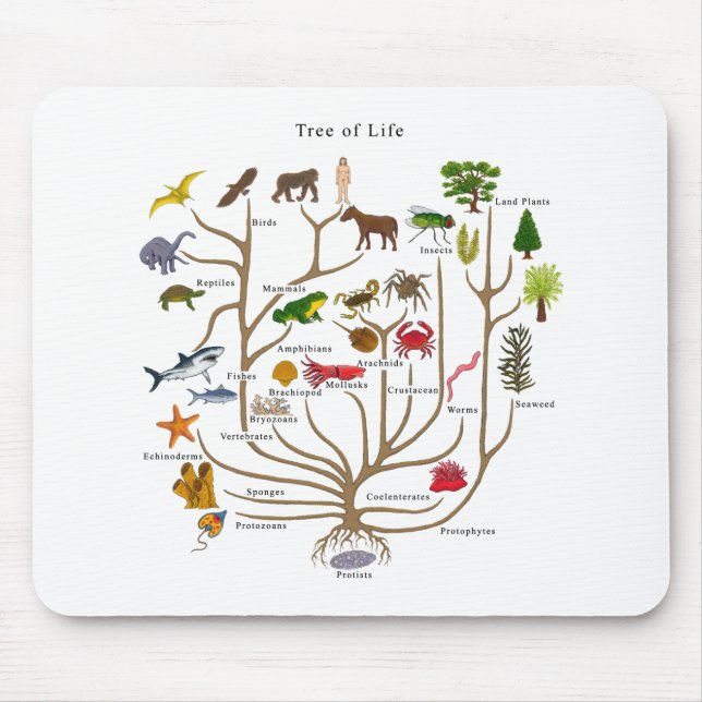 Tapis De Souris Arbre de la vie (Devant)