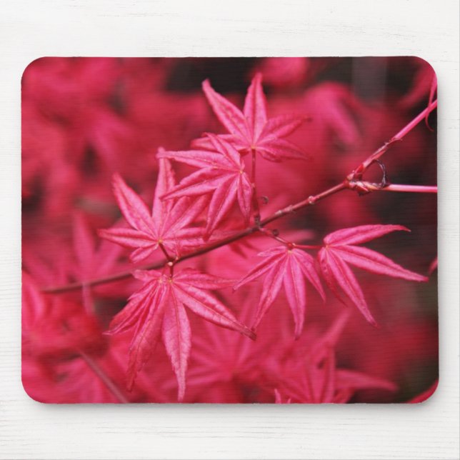 Tapis De Souris Arbre d'érable Mousepad-Rouge (Devant)