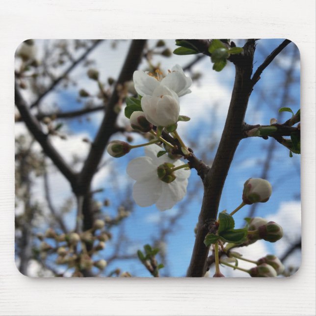 Tapis De Souris Arbre en fleurs (Devant)