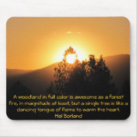 Arbre flamboyant Coucher de soleil avec citation d