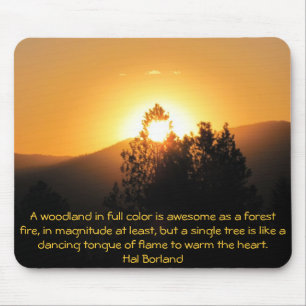 Tapis De Souris Arbre flamboyant Coucher de soleil avec citation d