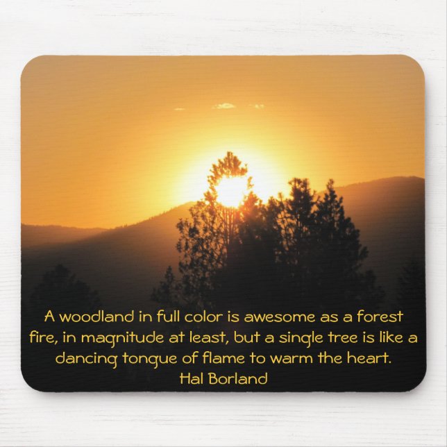 Tapis De Souris Arbre flamboyant Coucher de soleil avec citation d (Devant)