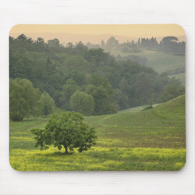 Tapis De Souris Arbre isolé dans un champ agricole, Toscane, (Devant)
