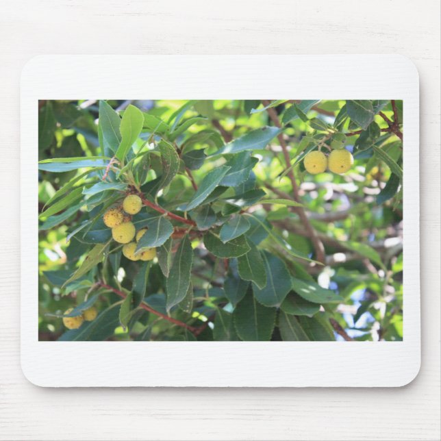 Tapis De Souris Arbre, Italie (Devant)