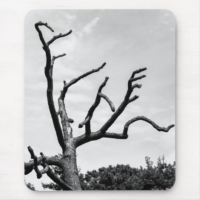 Tapis De Souris arbre libre (Devant)