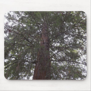 Tapis De Souris Arbre magnifique