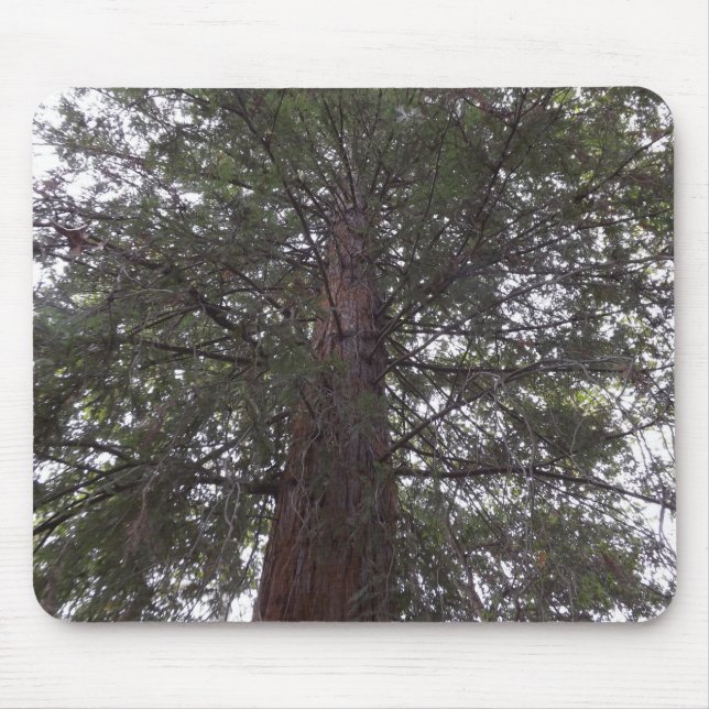 Tapis De Souris Arbre magnifique (Devant)