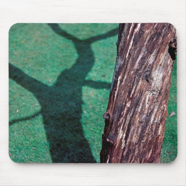 Tapis De Souris Arbre mort (Devant)