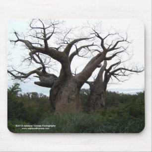 Tapis De Souris Arbre Mousepad de baobab