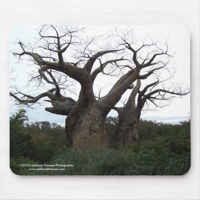 Tapis De Souris Arbre Mousepad de baobab (Devant)