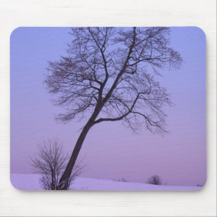 Tapis De Souris Arbre penché dans un champ enneigé; Comté de Chipp