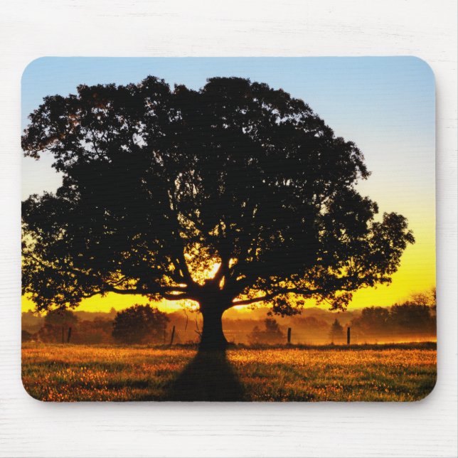 Tapis De Souris Arbre pendant le matin (Devant)