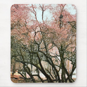 TAPIS DE SOURIS ARBRES