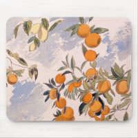 Arbres à fruits - Edward Lear