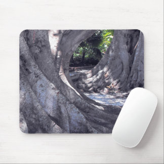 Tapis De Souris Arbres banian