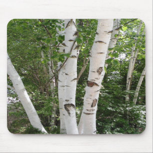 Tapis De Souris Arbres de bouleau Mousepad