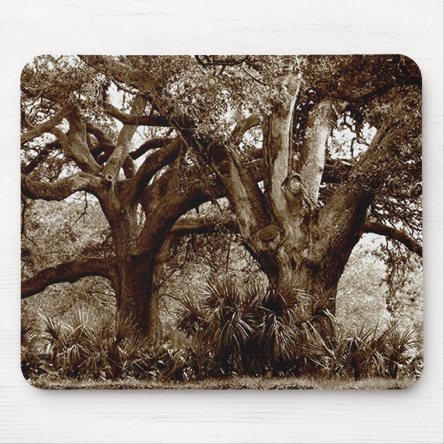 Tapis De Souris Arbres de la Nouvelle-Orléans Live Oak (Devant)