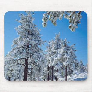 Tapis De Souris Arbres enneigés dans les montagnes de Laguna