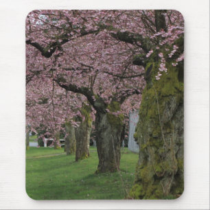Tapis De Souris Arbres florissants de cerisier de printemps