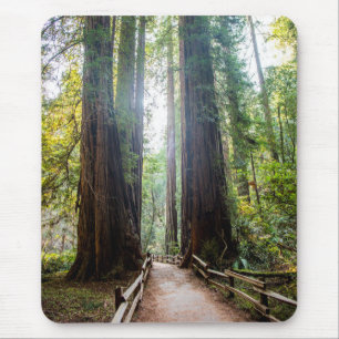 Tapis De Souris Arbres grands