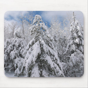 Tapis De Souris Arbres neigeux