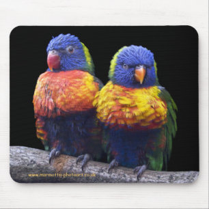 Tapis de souris arc-en-ciel