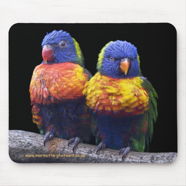 Tapis de souris arc-en-ciel (Devant)
