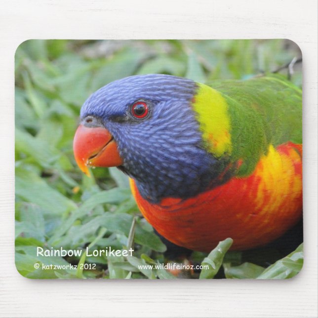 Tapis De Souris Arc-en-ciel Lorikeet (Devant)
