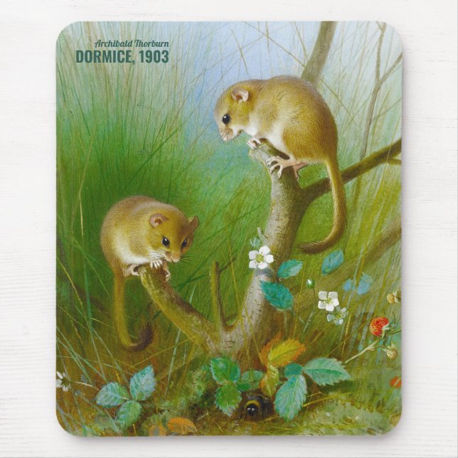 Tapis De Souris Archibald Thorburn Cute souris (Dormice, 1903) CC0 (Devant)