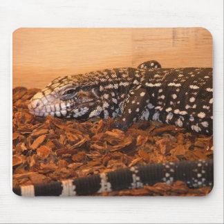 Tapis De Souris Argetine Tegu noir et blanc