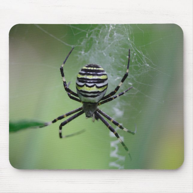 Tapis De Souris Argiope bruennichi (Devant)