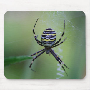 Tapis De Souris Argiope bruennichi