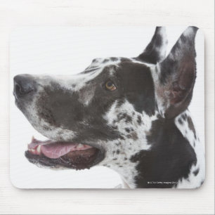 Tapis De Souris Arlequin Great Dane