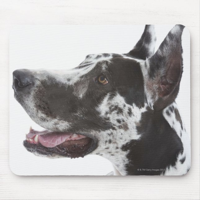 Tapis De Souris Arlequin Great Dane (Devant)