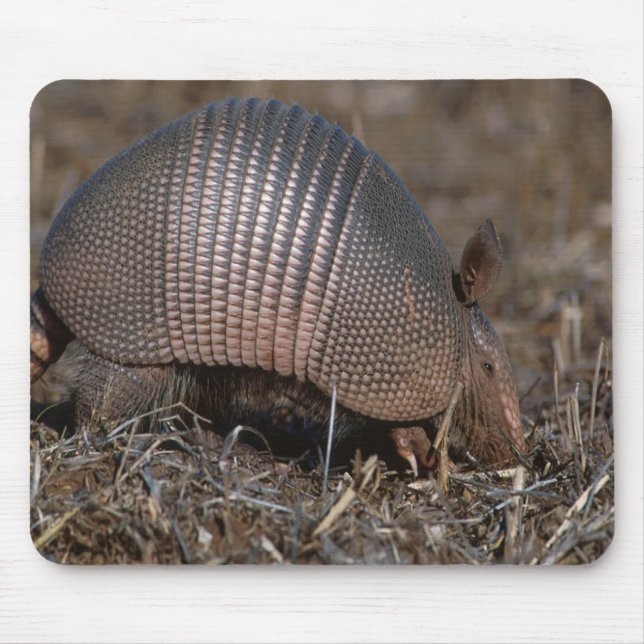 Tapis De Souris Armadillo Mousepad (Devant)